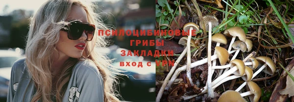 прущая мука Алексин